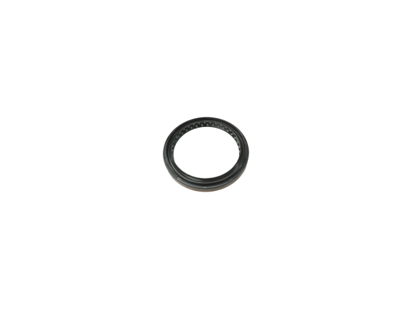 Oil Seal 95X120X12/17