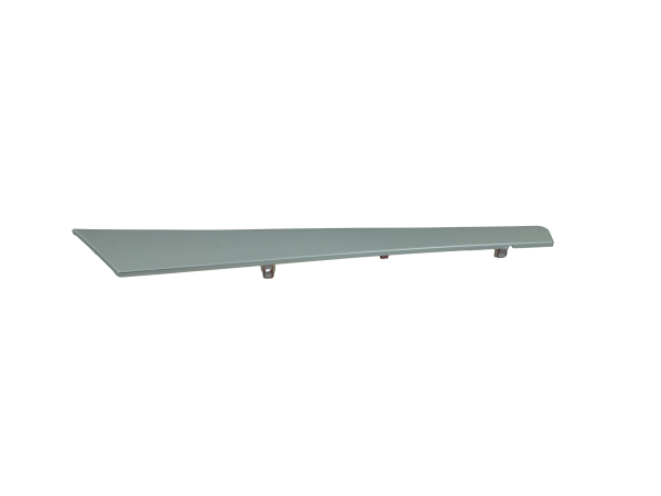Door Strip Right Assembly Decorative