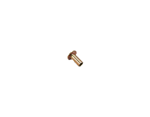 Nail Rivet