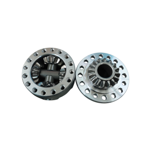 Assembly Differential