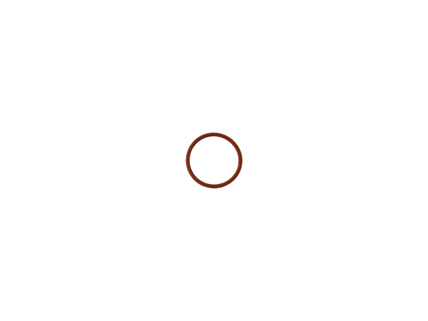 Sealing Ring