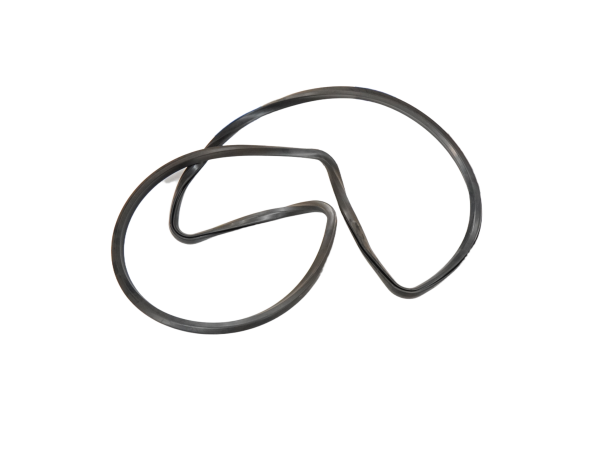 Sealing Gasket