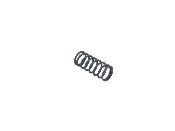 Inner Valve Spring
