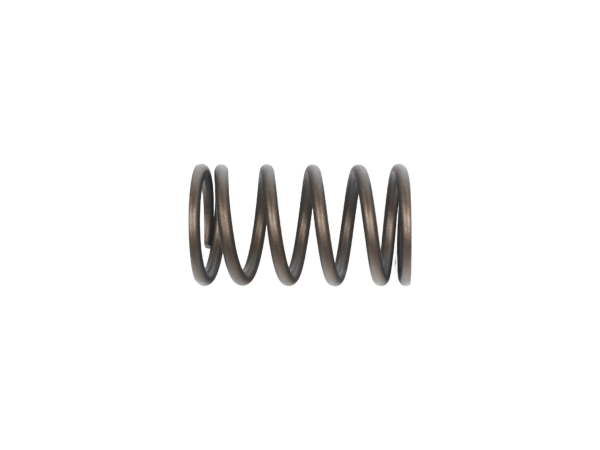 Outer Valve Spring