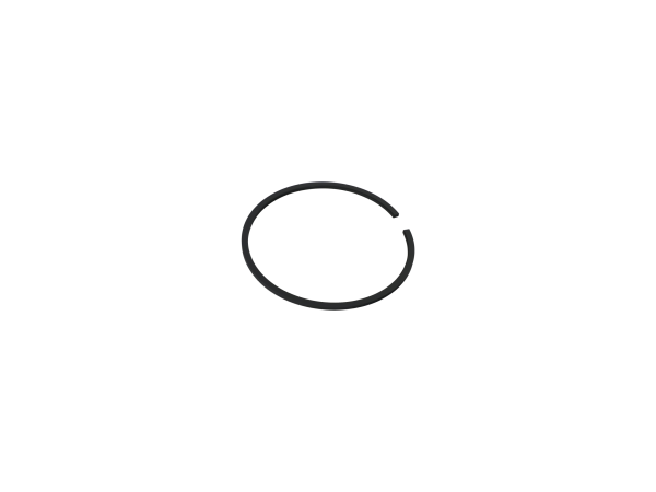 Ring Piston Group