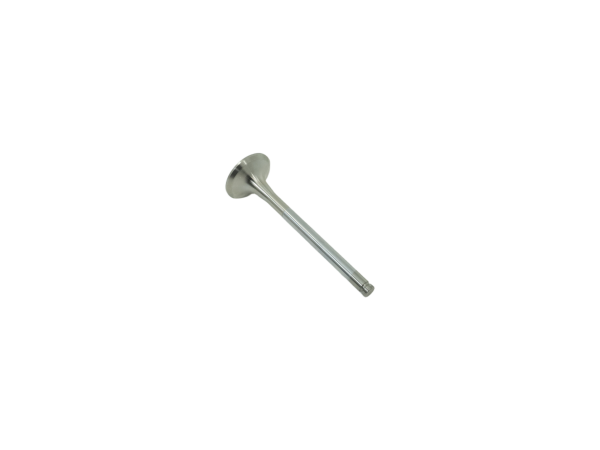 Valve Exhaust