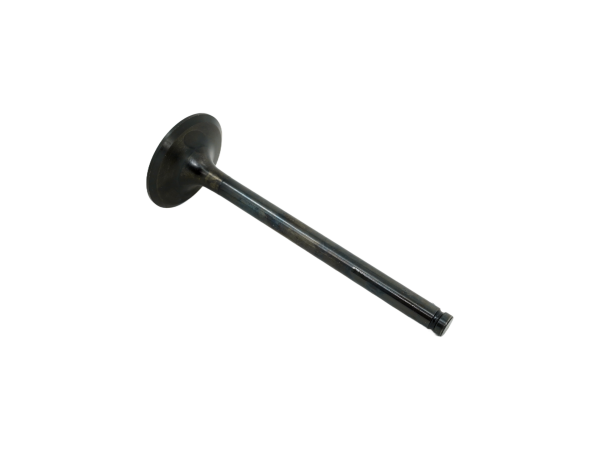 Valve Intake